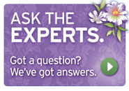 Ask the Experts